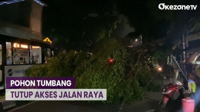 Hujan Disertai Angin Kencang, Pohon Tumbang Tutup Jalan Raya Pondok Gede