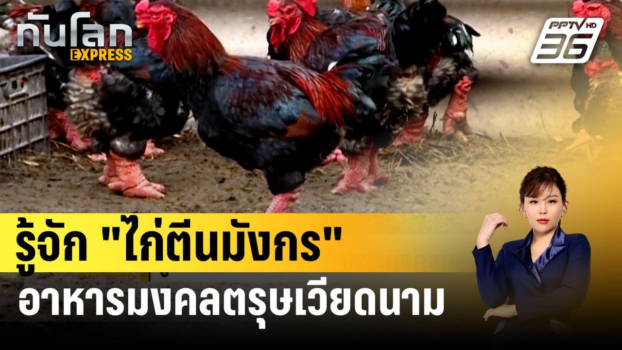 รู้จัก "ไก่ตีนมังกร" อาหารมงคลตรุษเวียดนาม | ทั...
