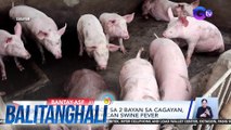 33 alagang baboy sa 2 bayan sa Cagayan, tinamaan ng African Swine Fever | BT