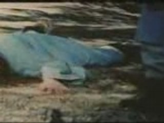 Les vengeurs du Kung-fu