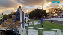 Nowra Show dog jumping | February 9, 2024 | South Coast Register