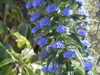 Le printemps le retour