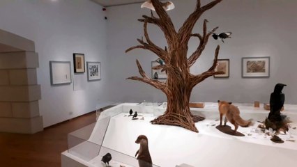 The Lost Words Exhibition at Oriel y Parc St Davids Pembrokeshire