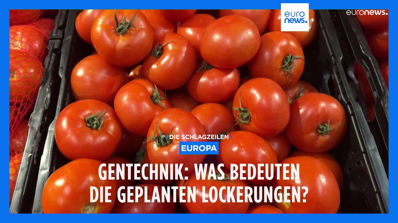 Nachrichten des Tages | 12. Februar - Morgenausgabe