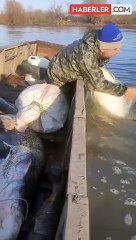 Trakyalı vatandaş, nehirden devasa büyüklükte yayın balığı çekti
