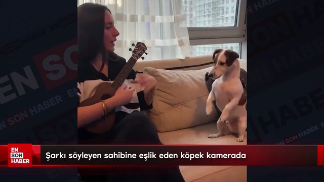 Şarkı söyleyen sahibine eşlik eden köpek kamerada