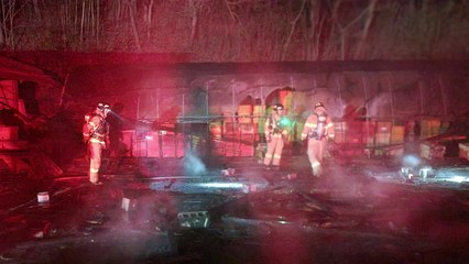 경북 경주 양봉장에서 불...벌통 70개 소실 / YTN