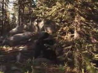 Die Neuesten Zuruck Nach Hause Die Unglaubliche Reise Videos Auf