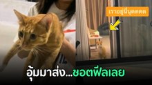 เมื่อเพื่อนนึกว่าแมวหลุด เลยอุ้มมาส่งถึงบ้าน แต่เดี๋ยวนะ...