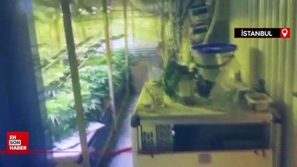 İstanbul'da düzenlenen uyuşturucu operasyonlarında 8 zanlı tutuklandı