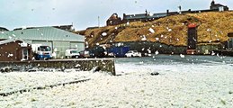 Sea foam like snow floating by Wick harbour on Saturday, February 10