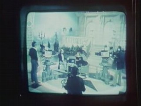 Madame S.O.S : Trois Tuteurs Pour Geranium