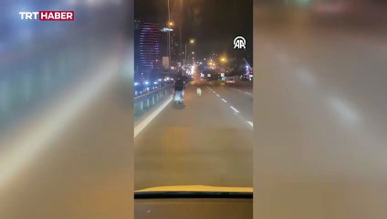 İstanbul D-100 kara yolunda koşan köpek kamerada