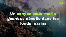 Un canyon sous-marin géant se dévoile dans les fonds marins