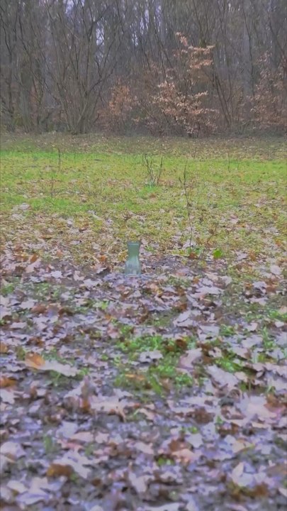 Verre vert en verre