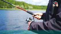 fishing rod reel-sound effect_fishing reel sounds