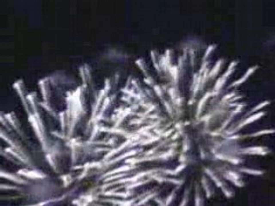 SansTitre_0006