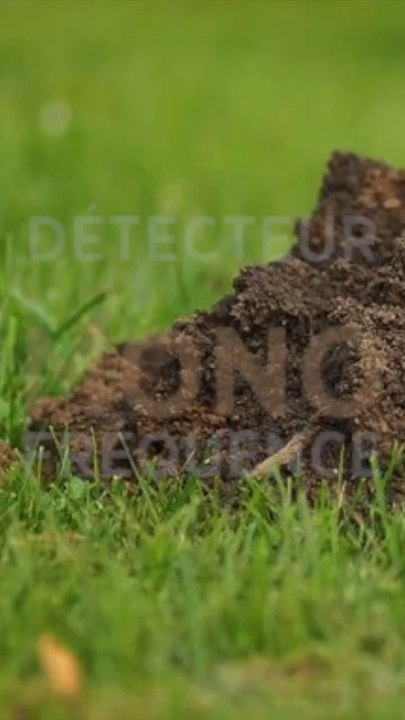 XP DÉUS vs XP DEUS 2 FMF / PART 1