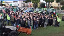 Protesta dei trattori a Rimini: interviste agli agricoltori