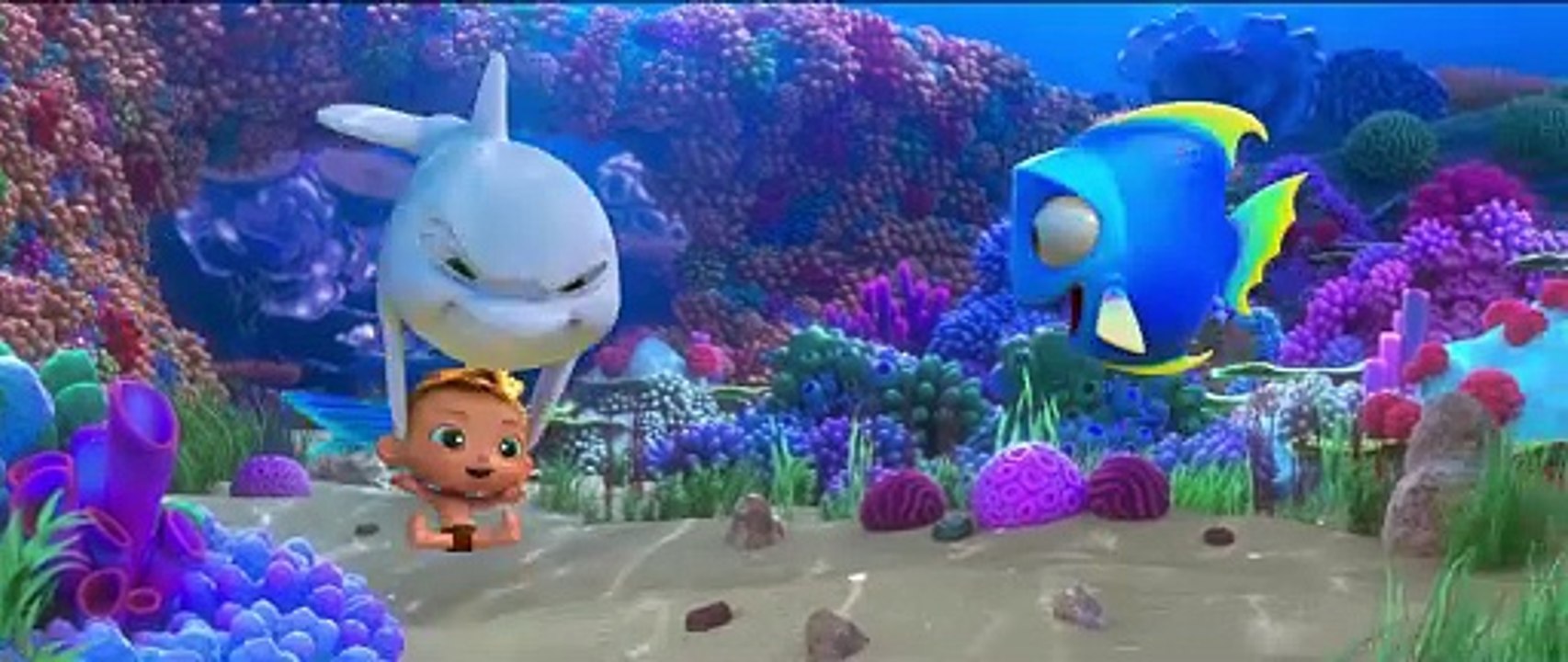 Dolphin Boy Abenteuer unter dem Meer Film