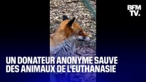 TANGUY DE BFM - Dordogne: un mécène fait un don de 100.000€ et sauve les animaux d'un parc de l'euthanasie