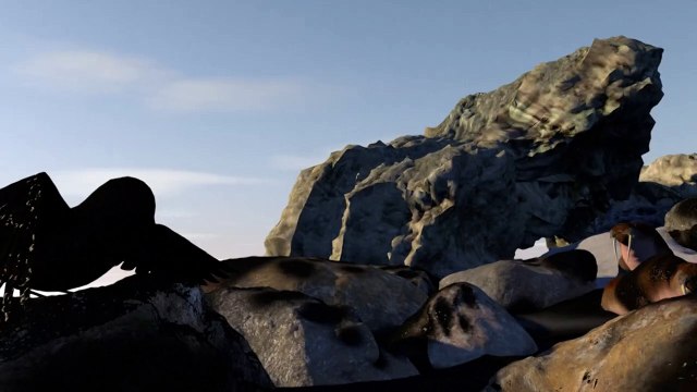 La pollution marine aux hydrocarbures