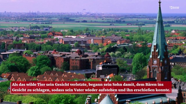 Mann überlebt Angriff von einem Bären und tötet ihn, bevor er von ihm gefressen werden konnte