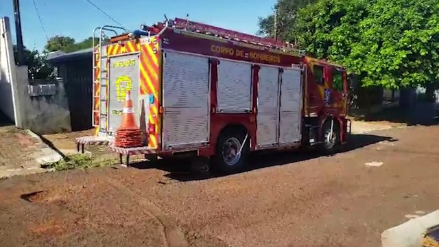 Bombeiros são acionados após gambá invadir condomínio na Vila Tolentino