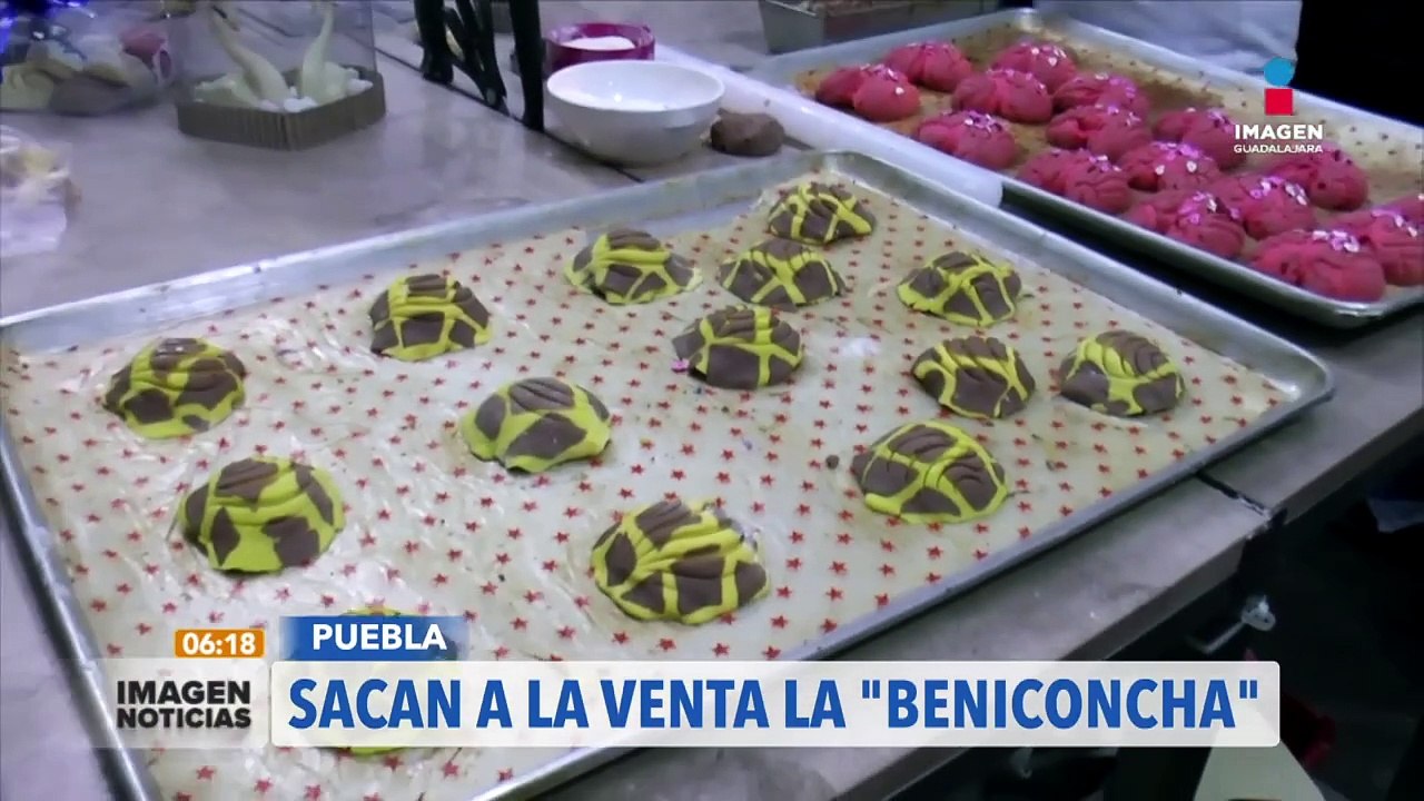 La jirafa Benito tiene su concha | #ImagenNoticiasGDL con Ricardo Camarena