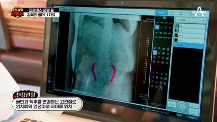 "가만히 있어도 생각이 나" 아들 잃은 슬픔을 이겨내는 법