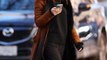 Emily Ratajkowski au casting de la nouvelle série Netflix de Lena Dunham