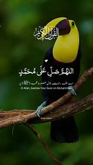 Drood Shreef | درود شریف | alquran