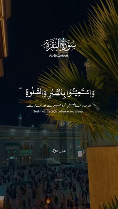 Soorat Albakrah | سورت البقراء | alquran