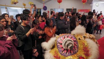 Celebran año nuevo chino en Proulex. Ofertan certificación del idioma a nivel Internacional.