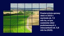Ile zbóż uprawia się w Polsce