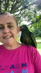 Une femme essaie de disputer son perroquet