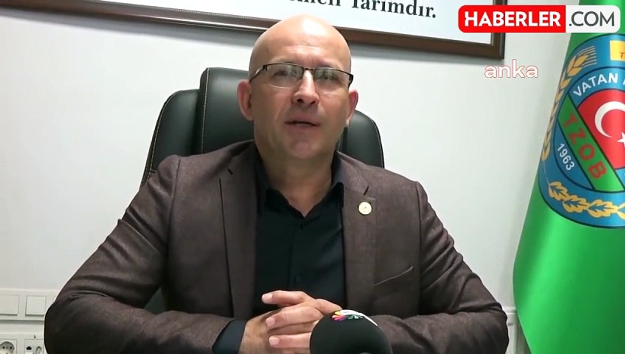 Edirne Ziraat Odası Başkanı: TMO'nun buğday desteği gecikti, ek destek verilmeli