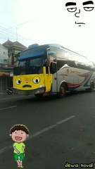 bus sumber selamat jadi tayo kuning