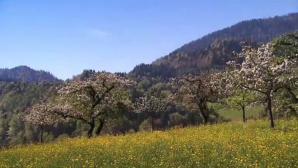 Tempesta d'amore - 9 febbraio 2024