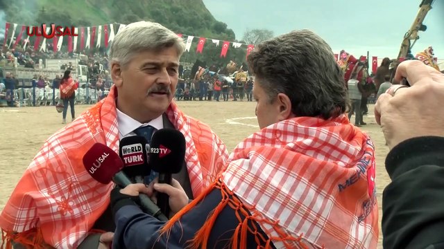 Kuyucak Deve Güreşi Festivali yapıldı! Ege, Marmara ve Akdeniz bölgelerinden 160 deve güreşti