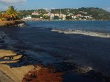 Mysteriöses Schiffsunglück sorgt für Ölkatastrophe in der Karibik