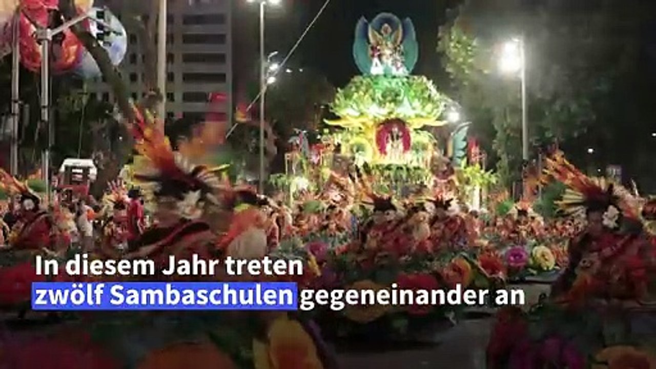 Karneval in Rio: Kostüme, Wagen und viel nackte Haut
