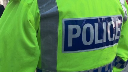 Boy, 8, bitten by XL Bully in Bootle - LiverpoolWorld Headlines