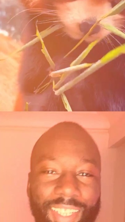 Abonne-toi pour suivre l’actualité positive chaque semaine !    Source 1 : reporterre I source 2 : Les Échos  I source 3 : Ouest France I source 4 : France Info I source 5 : France 24