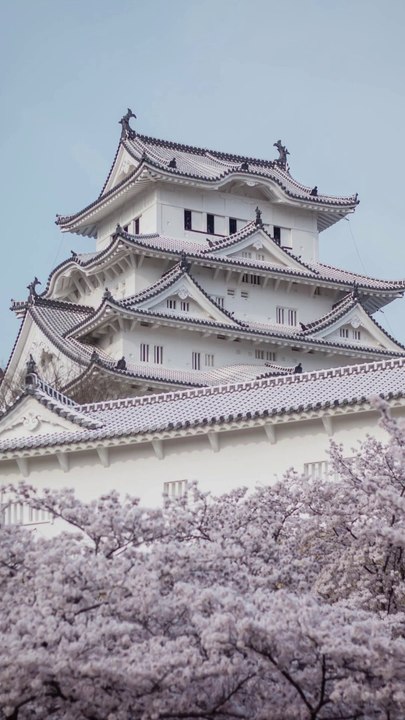 #Exclu Présentation Nouvelle chaîne sur la #Japonisation.