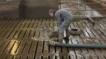 Man scared away by high-pressure liquid manure bursting out of hose