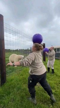 Des phénomènes étranges dont tu n'as jamais entendu parler (38) ‍♂️