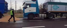 Les agriculteurs ont paralysé les postes frontières entre la Pologne et l’Ukraine pendant au moins 30 jours.des agriculteurs polonais déchargent des camions remplis de céréales ukrainiennes