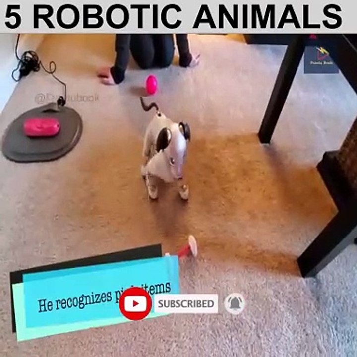 5 Amazing Robotic Animals you must see | 5 Realistic Animal Robots जिन्हें आपको अवश्य देखना चाहिए