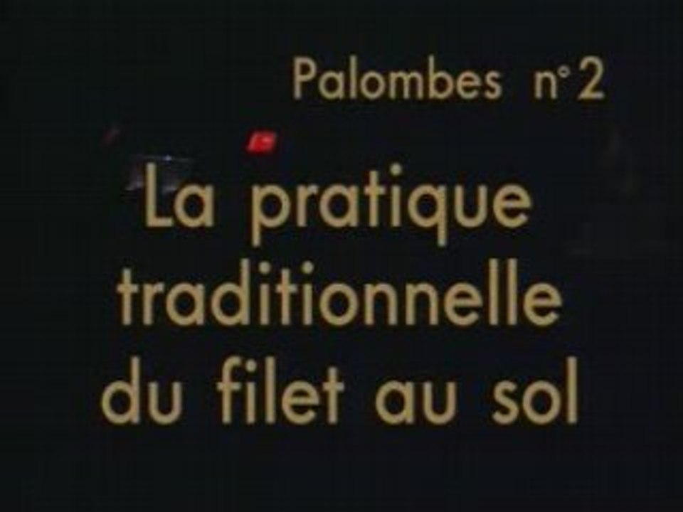 Palombes : La pratique traditionnelle du filet au sol